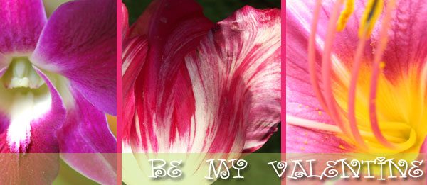 Beautiful fresh flowers delivered throughout Norristown by Joseph Genuardi Florist, order flowers online