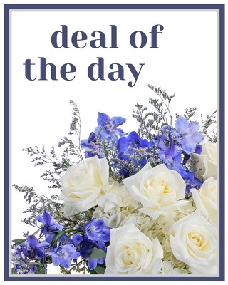 Deal of the Day from Joseph Genuardi Florist in Norristown, PA