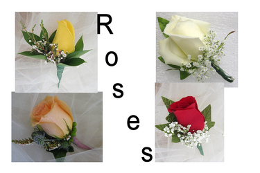 Choose Your Color Prom Boutonnier from Joseph Genuardi Florist in Norristown, PA