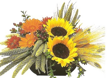 Sunflower Sunsets Basket from Joseph Genuardi Florist in Norristown, PA
