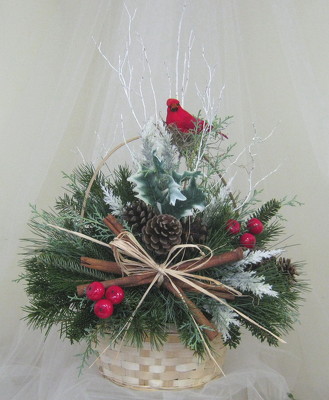 Natures Wonders Christmas Basket from Joseph Genuardi Florist in Norristown, PA