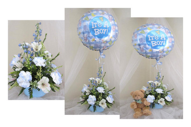 Special Delivery Baby Arrangement Boy or Girl from Joseph Genuardi Florist in Norristown, PA