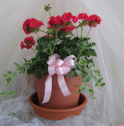 Spring & Summer Patio Pot