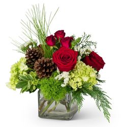 Wintertime Wishes from Joseph Genuardi Florist in Norristown, PA