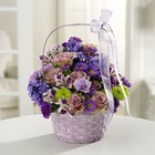 Purple Greetings