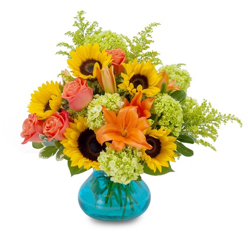 Glorious Day from Joseph Genuardi Florist in Norristown, PA