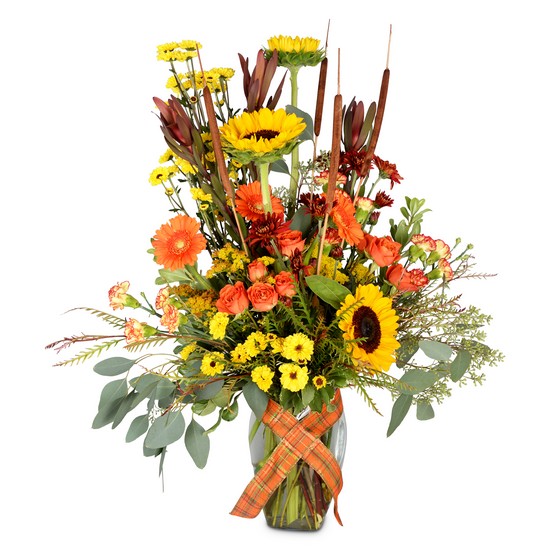 A Fondness for Fall from Joseph Genuardi Florist in Norristown, PA