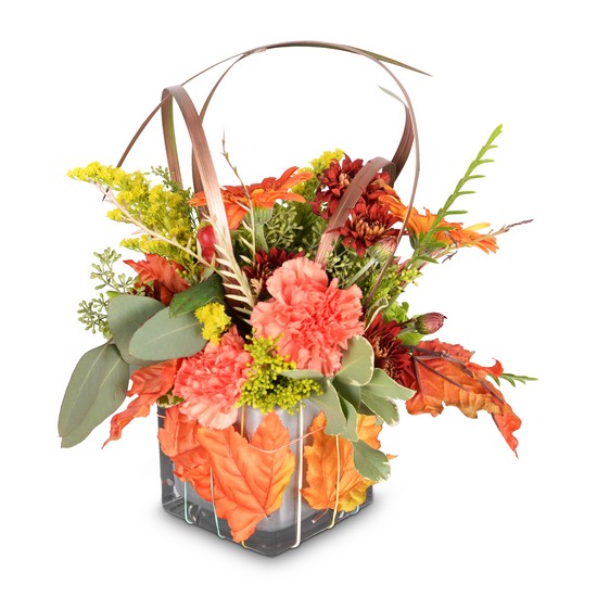 You're Unbe-leaf-able! from Joseph Genuardi Florist in Norristown, PA