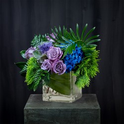 Moody Blues Afternoon from Joseph Genuardi Florist in Norristown, PA