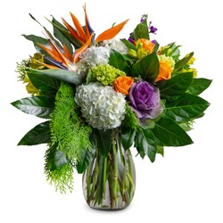 Tropical Blends from Joseph Genuardi Florist in Norristown, PA