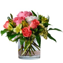 Expressions from Joseph Genuardi Florist in Norristown, PA