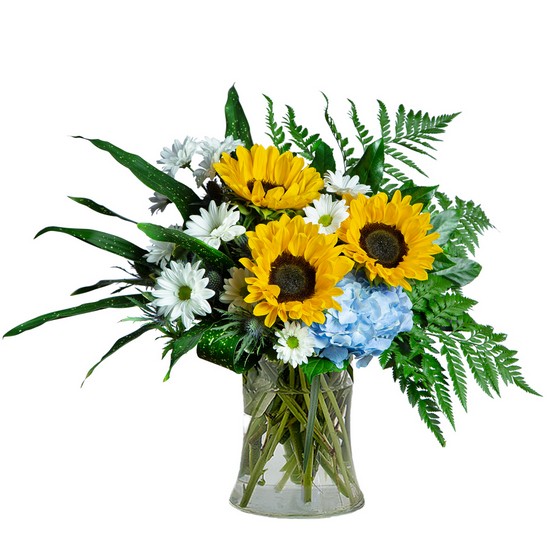 Sunny Skies All Day from Joseph Genuardi Florist in Norristown, PA
