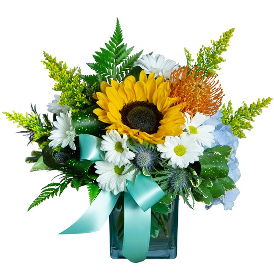 Daisies for Baby from Joseph Genuardi Florist in Norristown, PA