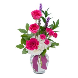 Popping Pink from Joseph Genuardi Florist in Norristown, PA