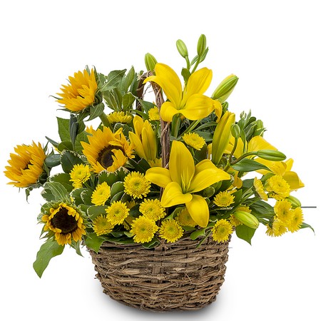 Basket of Sunshine from Joseph Genuardi Florist in Norristown, PA