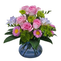 Happiness Anytime from Joseph Genuardi Florist in Norristown, PA