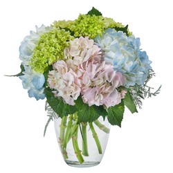 Southern Charm from Joseph Genuardi Florist in Norristown, PA