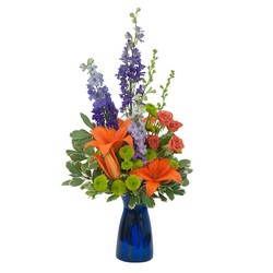 Cheer the Blues from Joseph Genuardi Florist in Norristown, PA