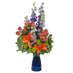 Cheer Up the Blues from Joseph Genuardi Florist in Norristown, PA
