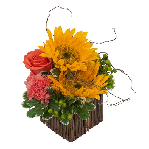 Naturally Simple from Joseph Genuardi Florist in Norristown, PA