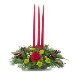 Majestic Wishes from Joseph Genuardi Florist in Norristown, PA