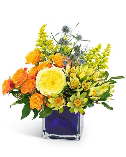 Bloom Bright from Joseph Genuardi Florist in Norristown, PA