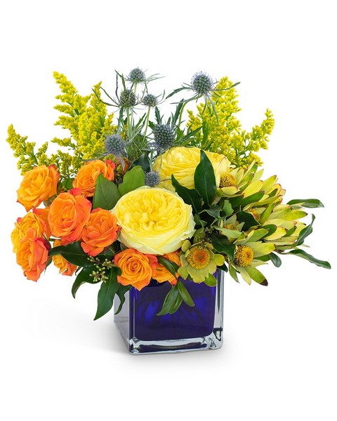 Bloom with Brilliance from Joseph Genuardi Florist in Norristown, PA