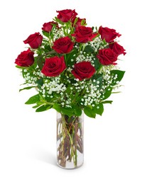 Dozen Red Roses and a Million Stars from Joseph Genuardi Florist in Norristown, PA