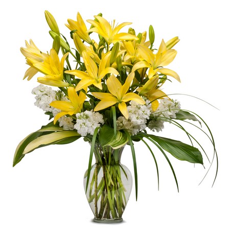 Lilies and Stock from Joseph Genuardi Florist in Norristown, PA