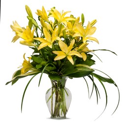 Lily from Joseph Genuardi Florist in Norristown, PA