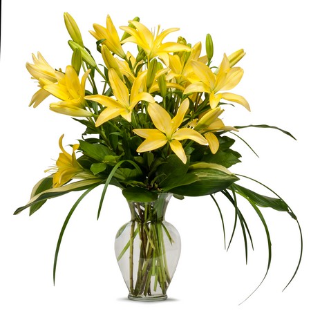 Lily from Joseph Genuardi Florist in Norristown, PA