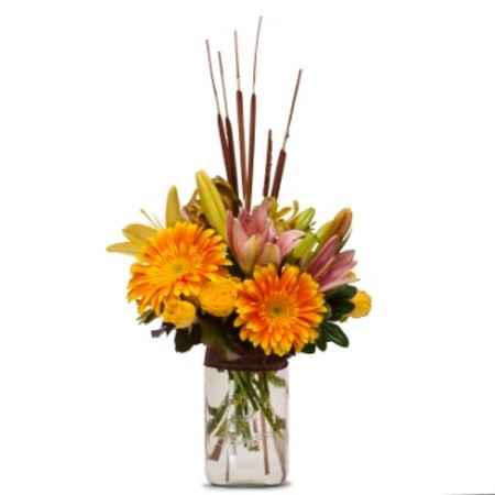 Sunshine and Cattails from Joseph Genuardi Florist in Norristown, PA