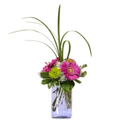 Oh Happy Day from Joseph Genuardi Florist in Norristown, PA