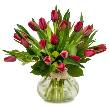 Just Red Tulips from Joseph Genuardi Florist in Norristown, PA