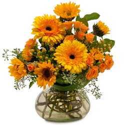 Sunflower Delight from Joseph Genuardi Florist in Norristown, PA