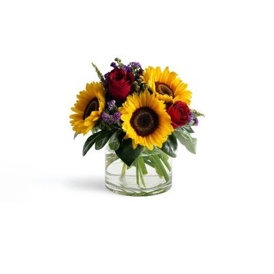 Sunfire Celebration from Joseph Genuardi Florist in Norristown, PA