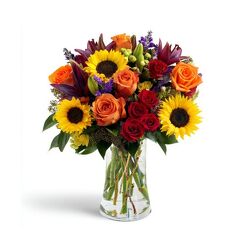 Harvest Hues from Joseph Genuardi Florist in Norristown, PA