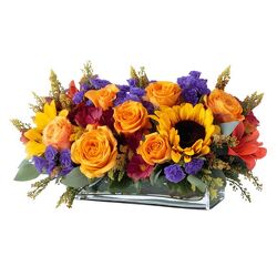 Sunset Gathering from Joseph Genuardi Florist in Norristown, PA