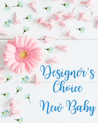 Designer's Choice - New Baby from Joseph Genuardi Florist in Norristown, PA