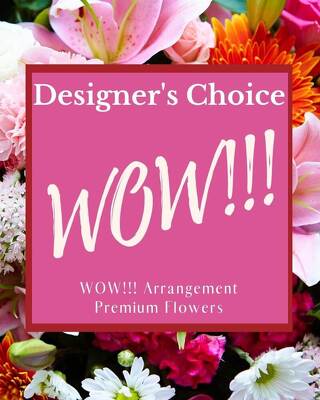 Designer's Choice - WOW!! from Joseph Genuardi Florist in Norristown, PA