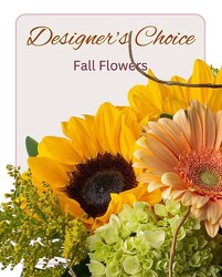 Designer's Choice - Fall