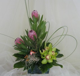 Touch of the Islands Tropical Magic from Joseph Genuardi Florist in Norristown, PA