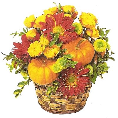 Pumpkin Pie Basket from Joseph Genuardi Florist in Norristown, PA