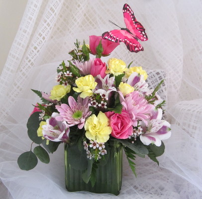 Butterfly Garden Cube from Joseph Genuardi Florist in Norristown, PA