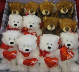 Love You Bear from Joseph Genuardi Florist in Norristown, PA