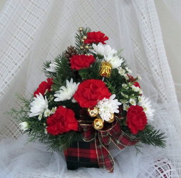 A Tartan Holiday from Joseph Genuardi Florist in Norristown, PA