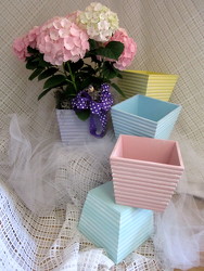 HYDRANGEA HEAVEN PLANTER BOX from Joseph Genuardi Florist in Norristown, PA