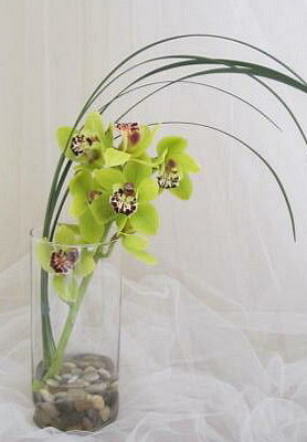Tropical Umbrella Cymbidium Orchid Vase from Joseph Genuardi Florist in Norristown, PA