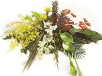 Tropical Farewell from Joseph Genuardi Florist in Norristown, PA