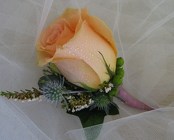 Groomsmen Boutonniere from Joseph Genuardi Florist in Norristown, PA